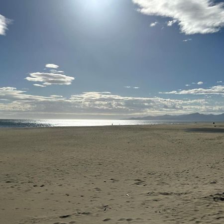 Villa Natura 3 Chambres 80M2 Jacuzzy Canet-en-Roussillon Buitenkant foto
